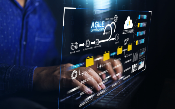 Ligula tristique quis risus